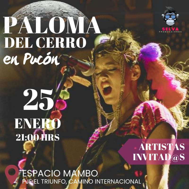 Paloma del Cerro en Pucón